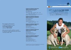 Metti_al_sicuro_il_tuo_cane-1